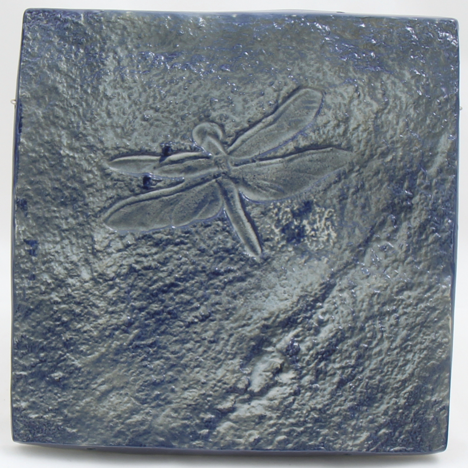 Archival impression of Petroglyph