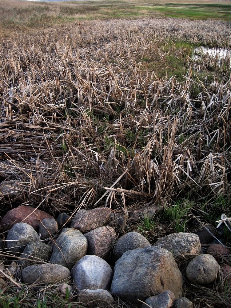   Petroglyph