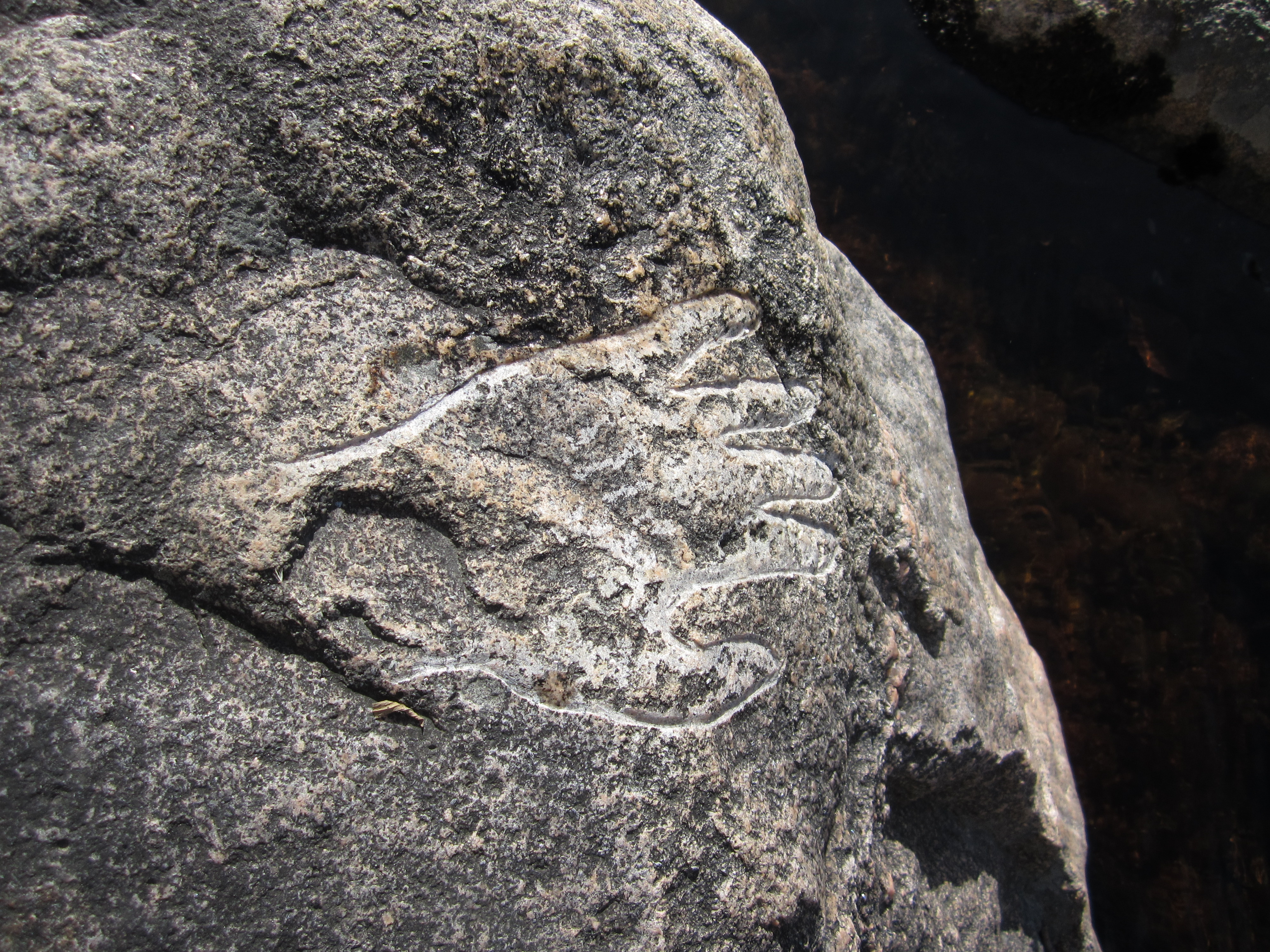   Petroglyph