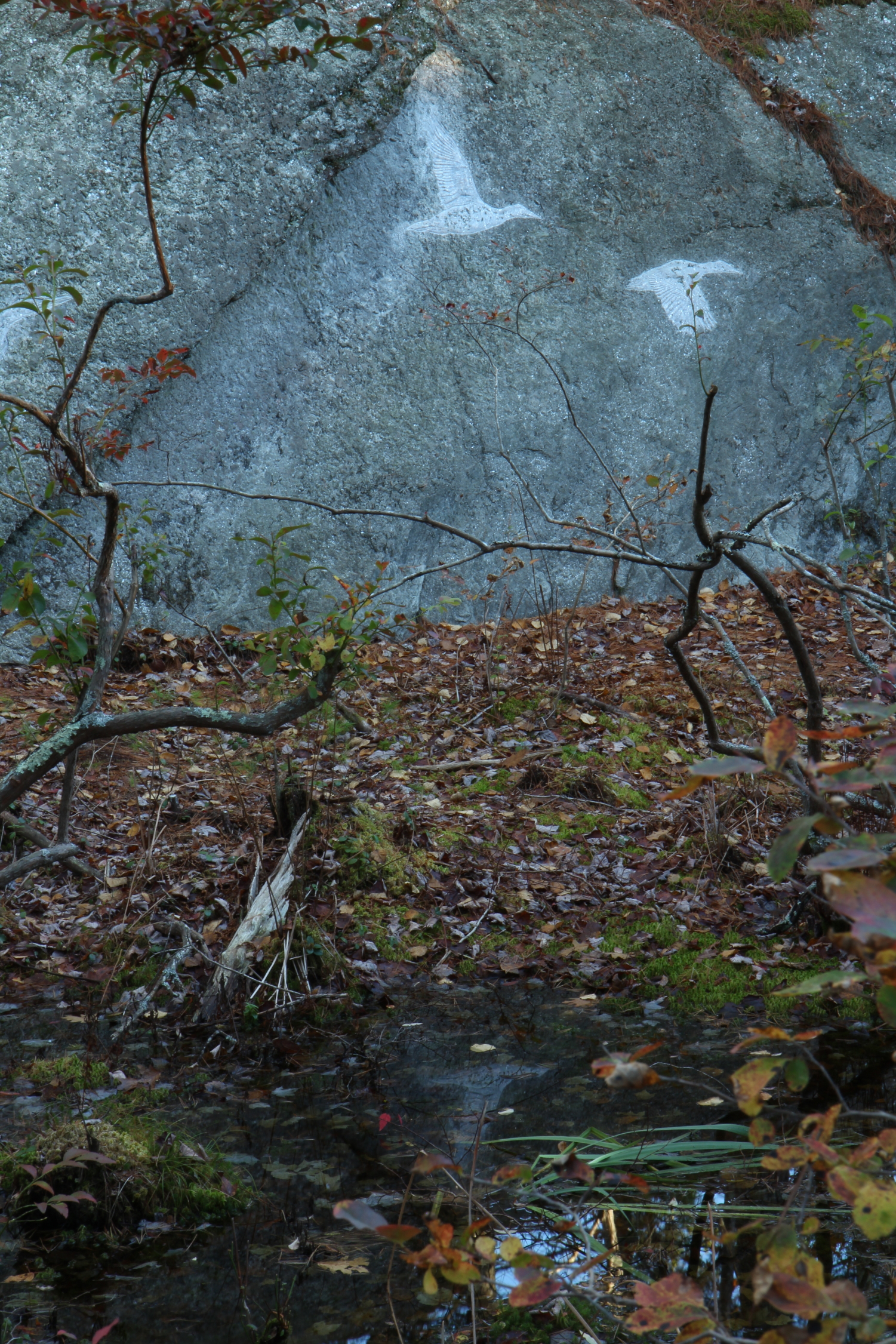   Petroglyph