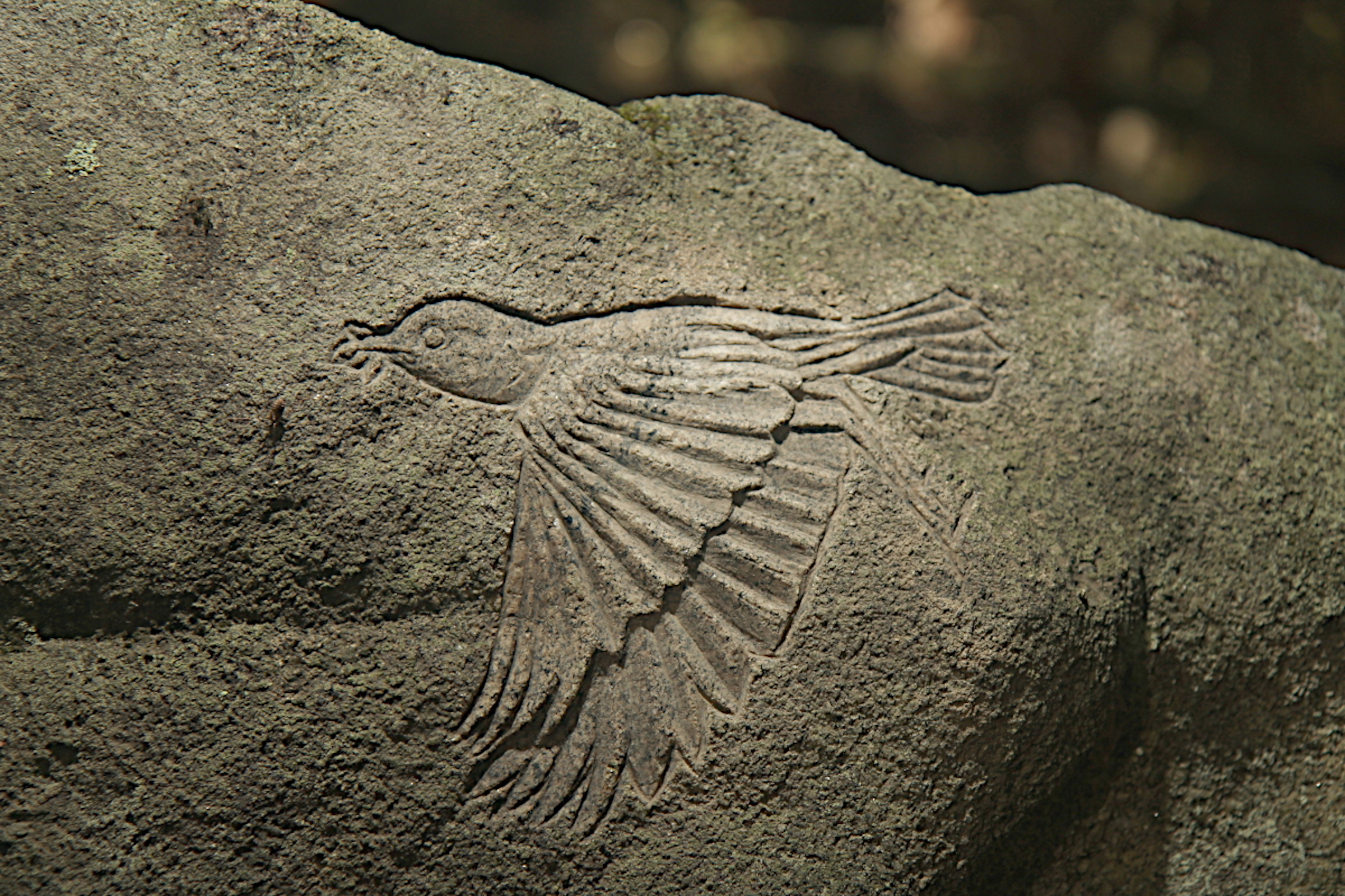   Petroglyph