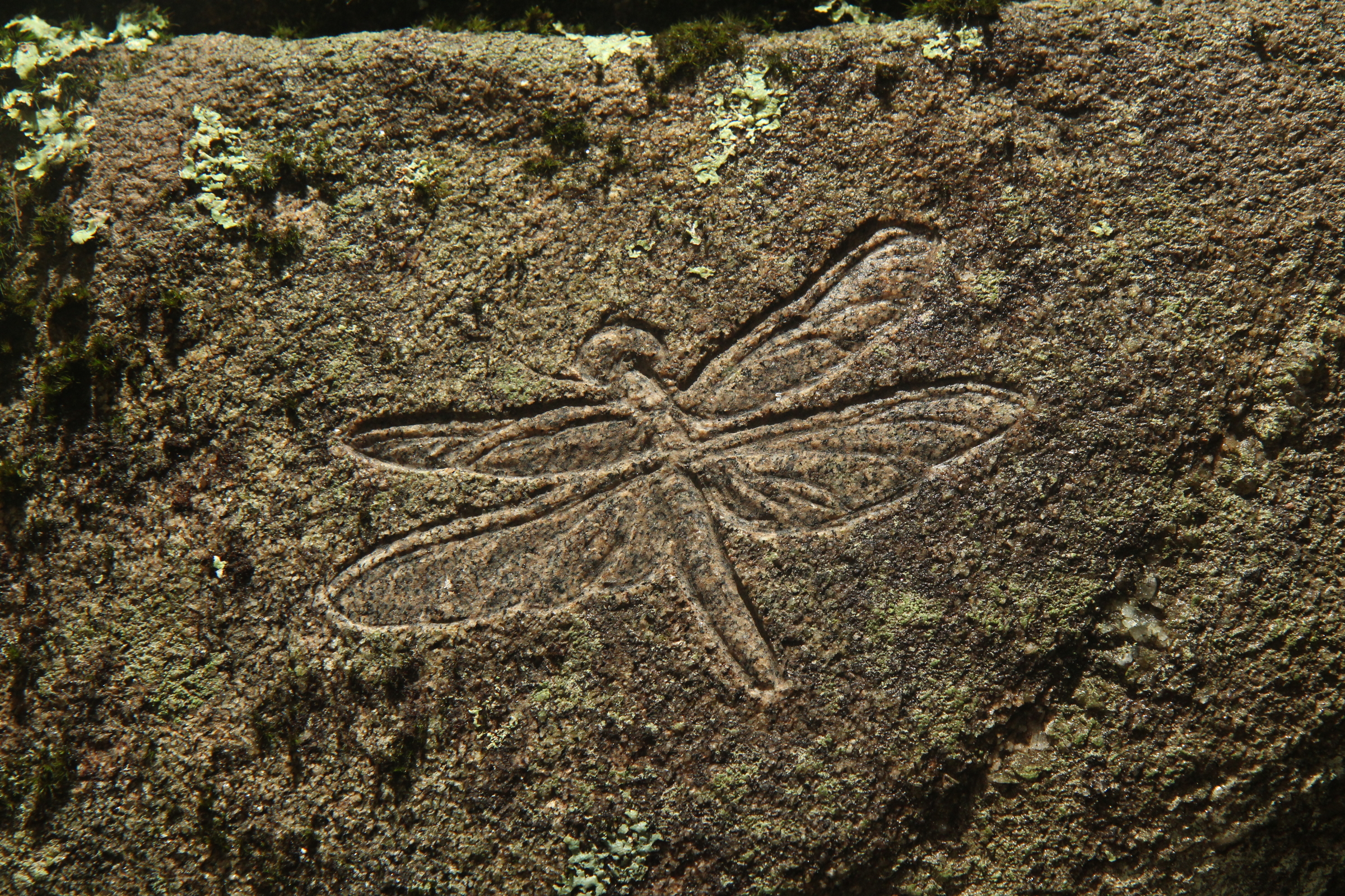   Petroglyph