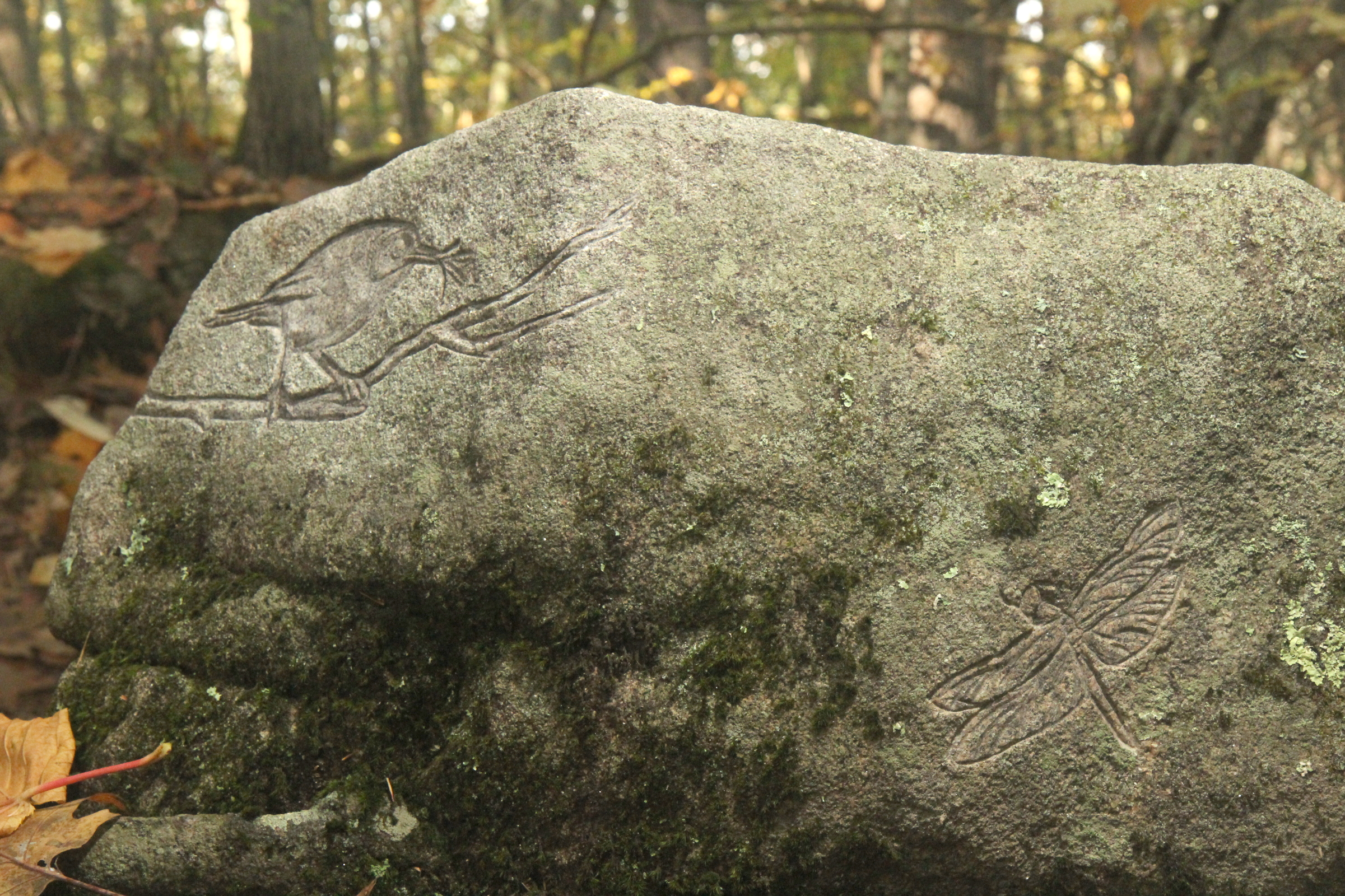   Petroglyph