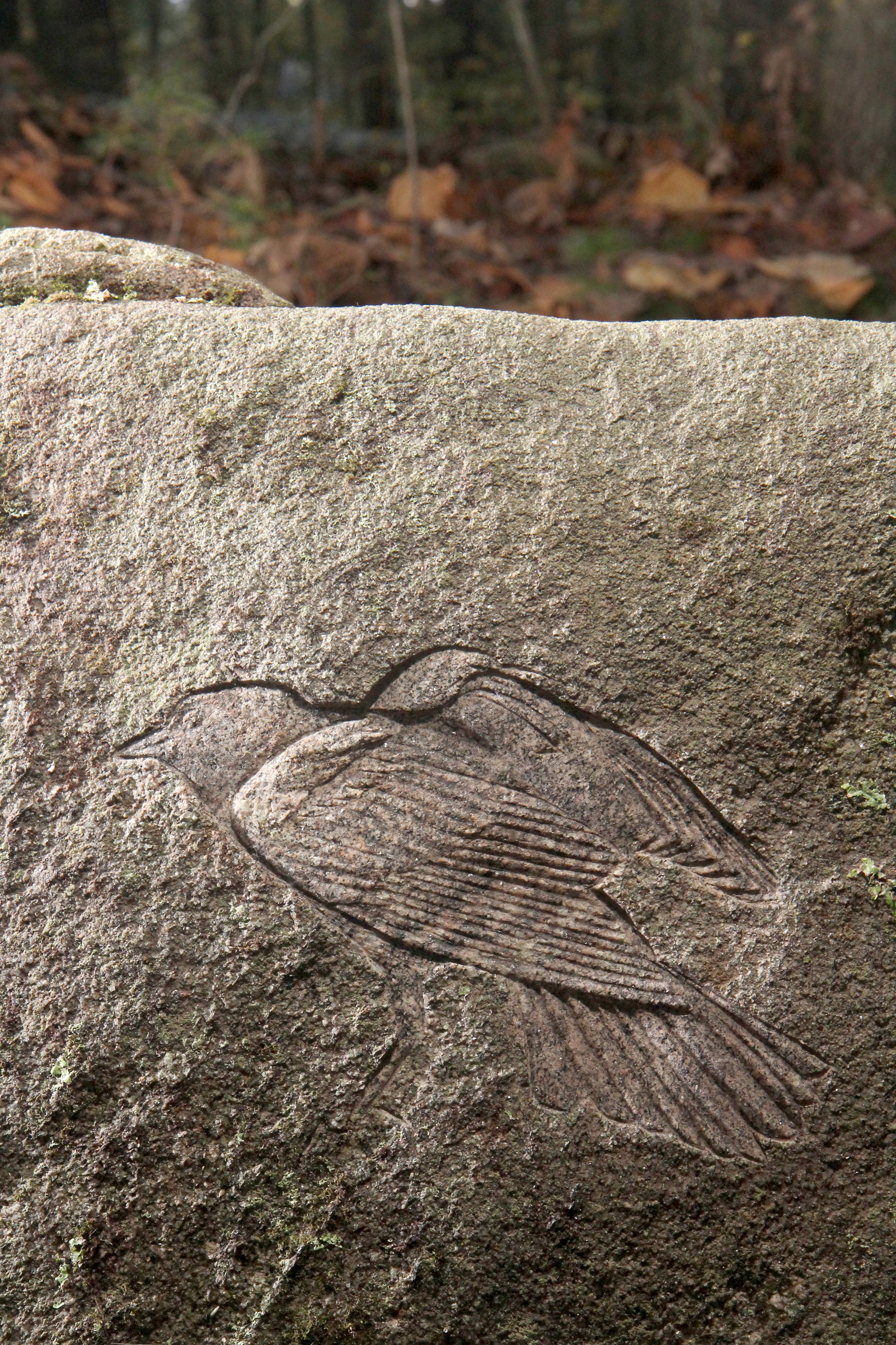   Petroglyph