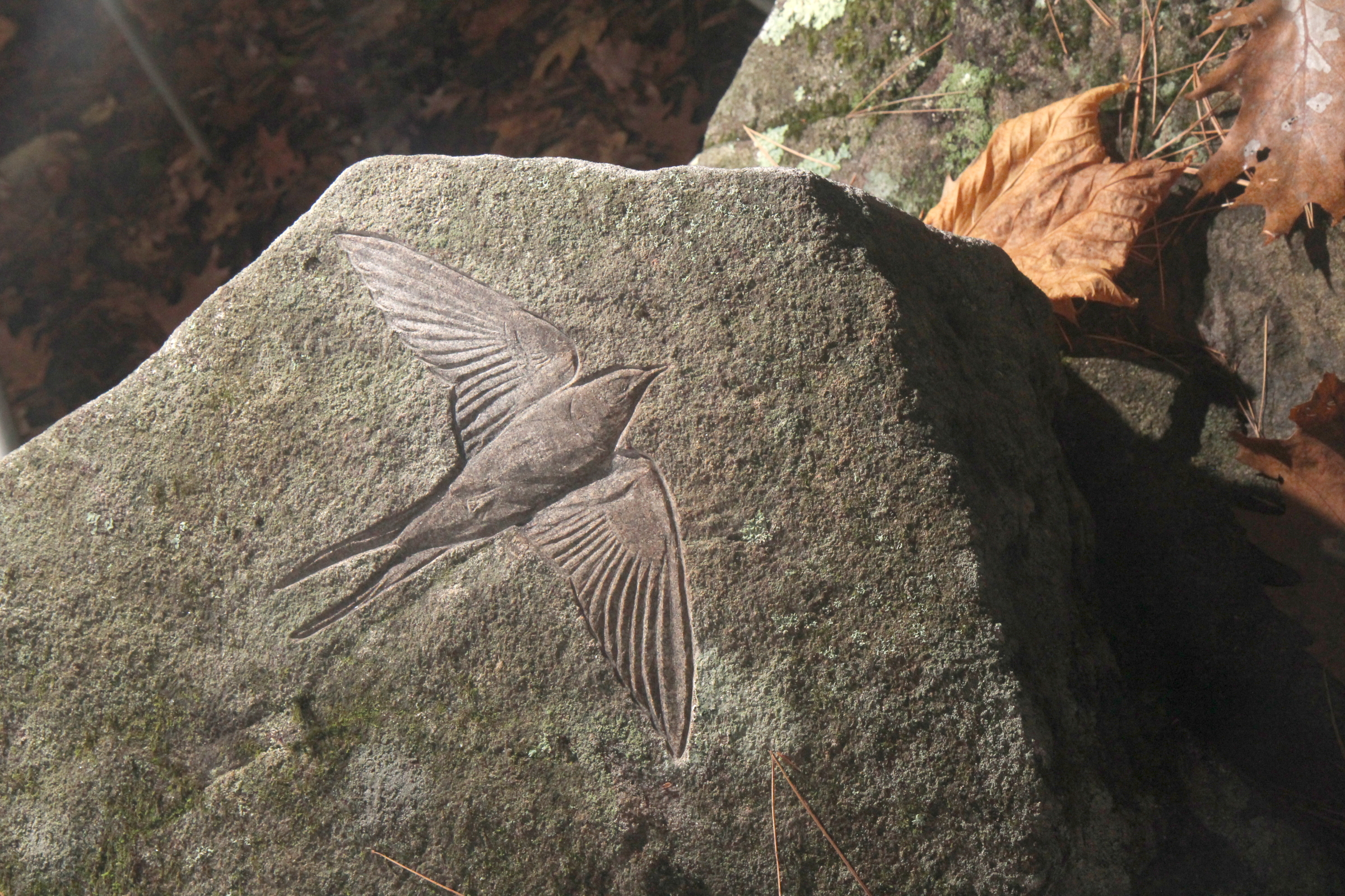   Petroglyph