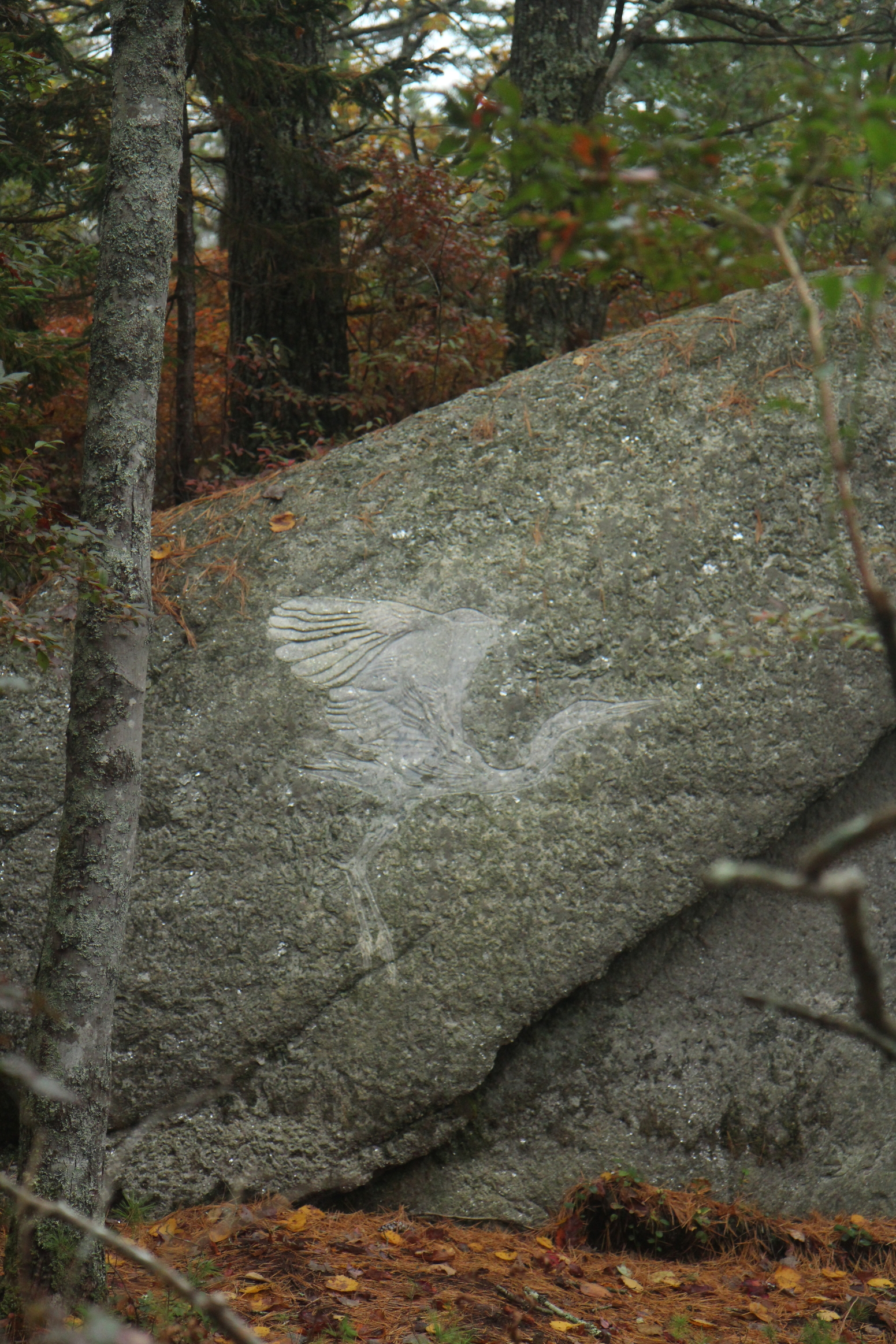   Petroglyph