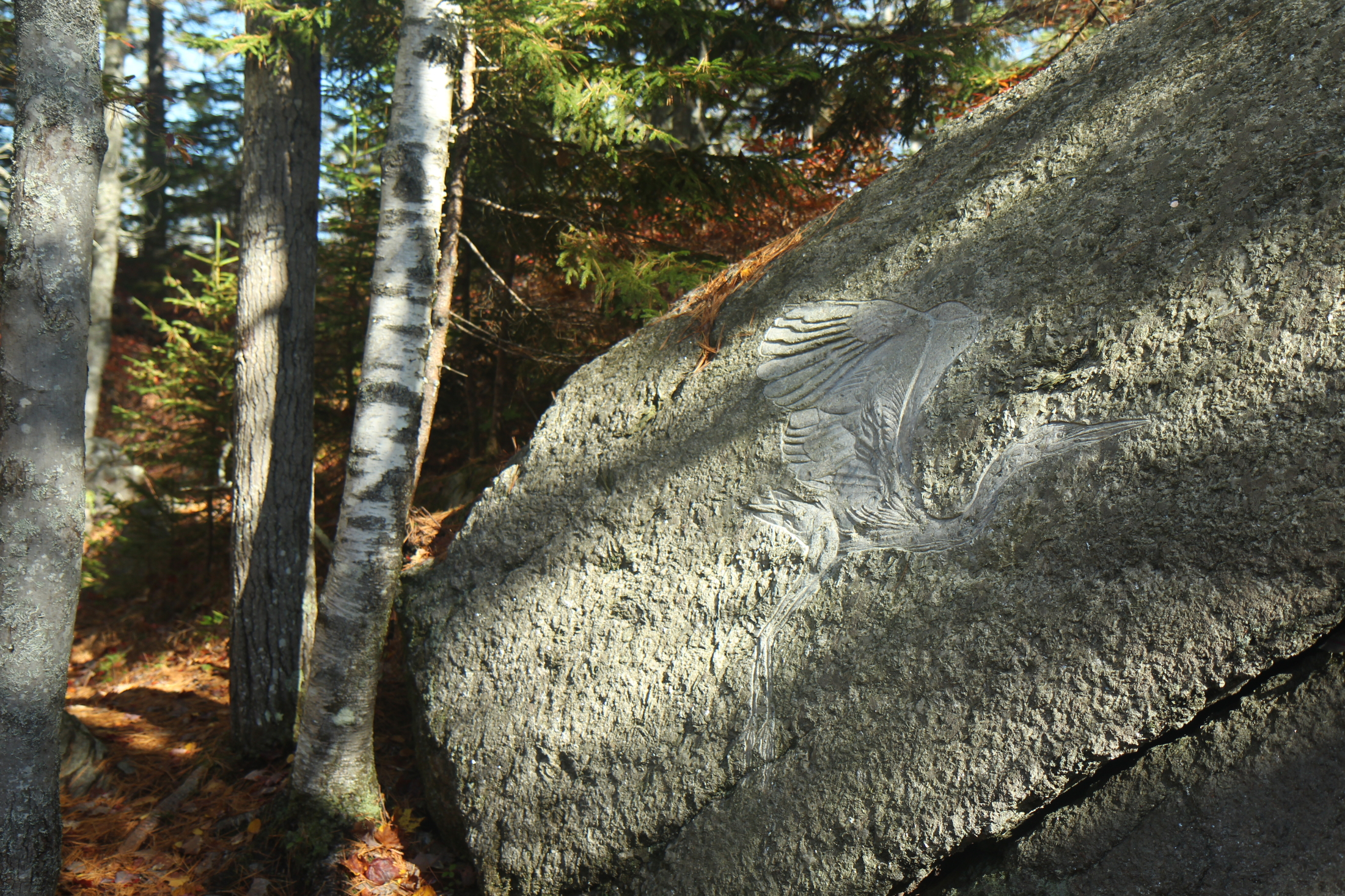   Petroglyph