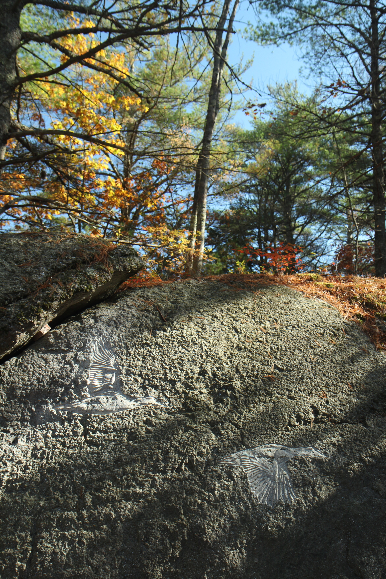   Petroglyph