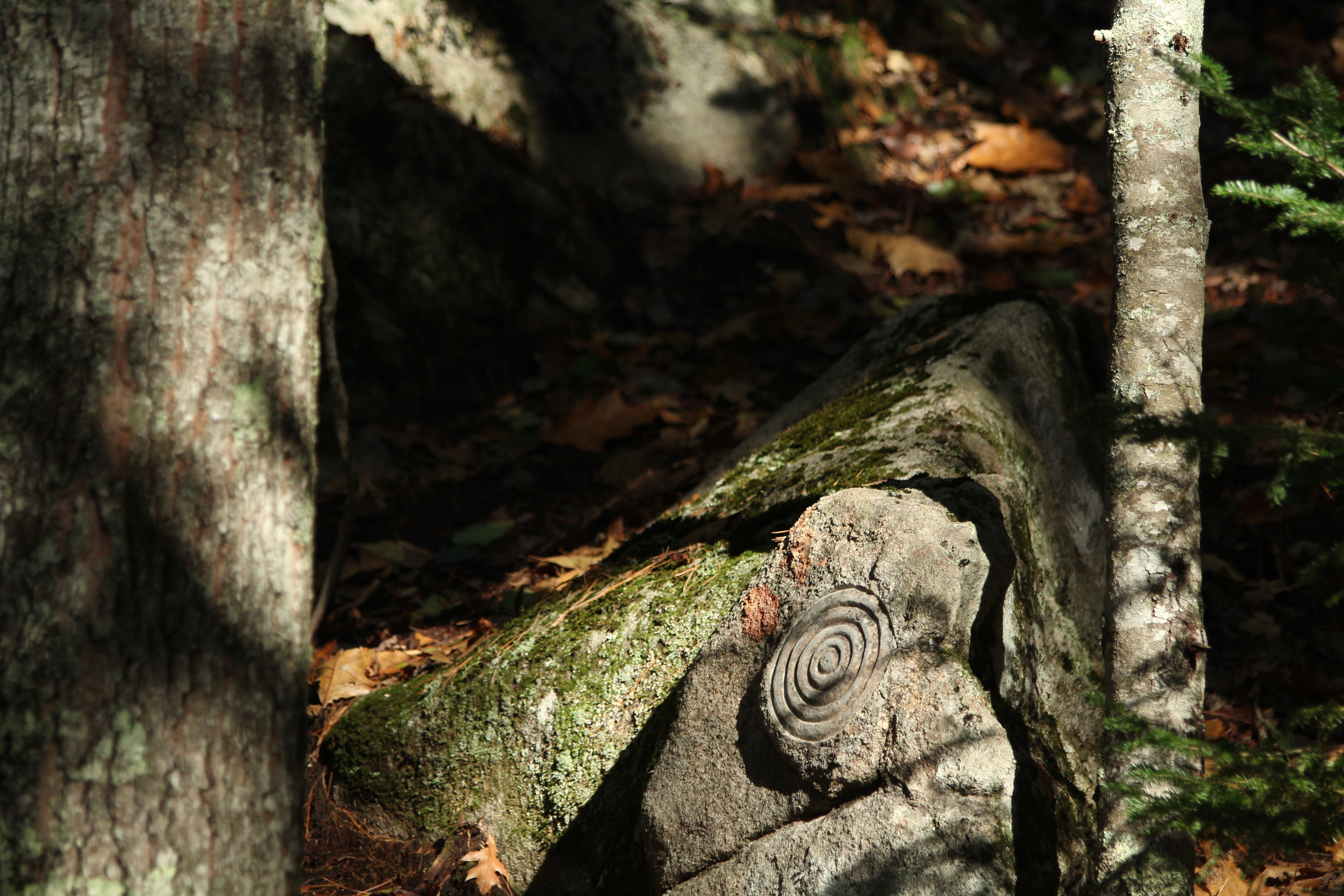   Petroglyph