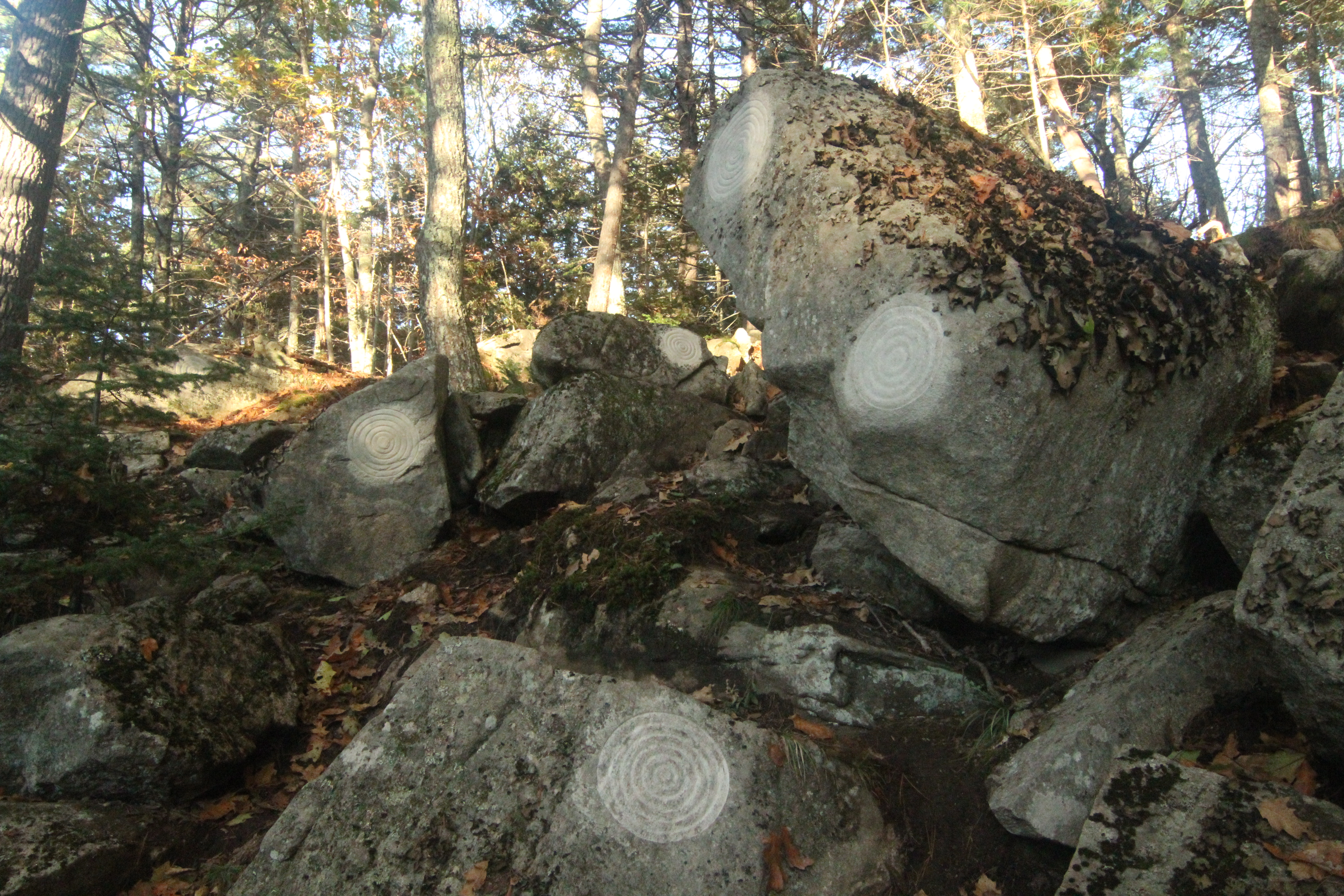   Petroglyph