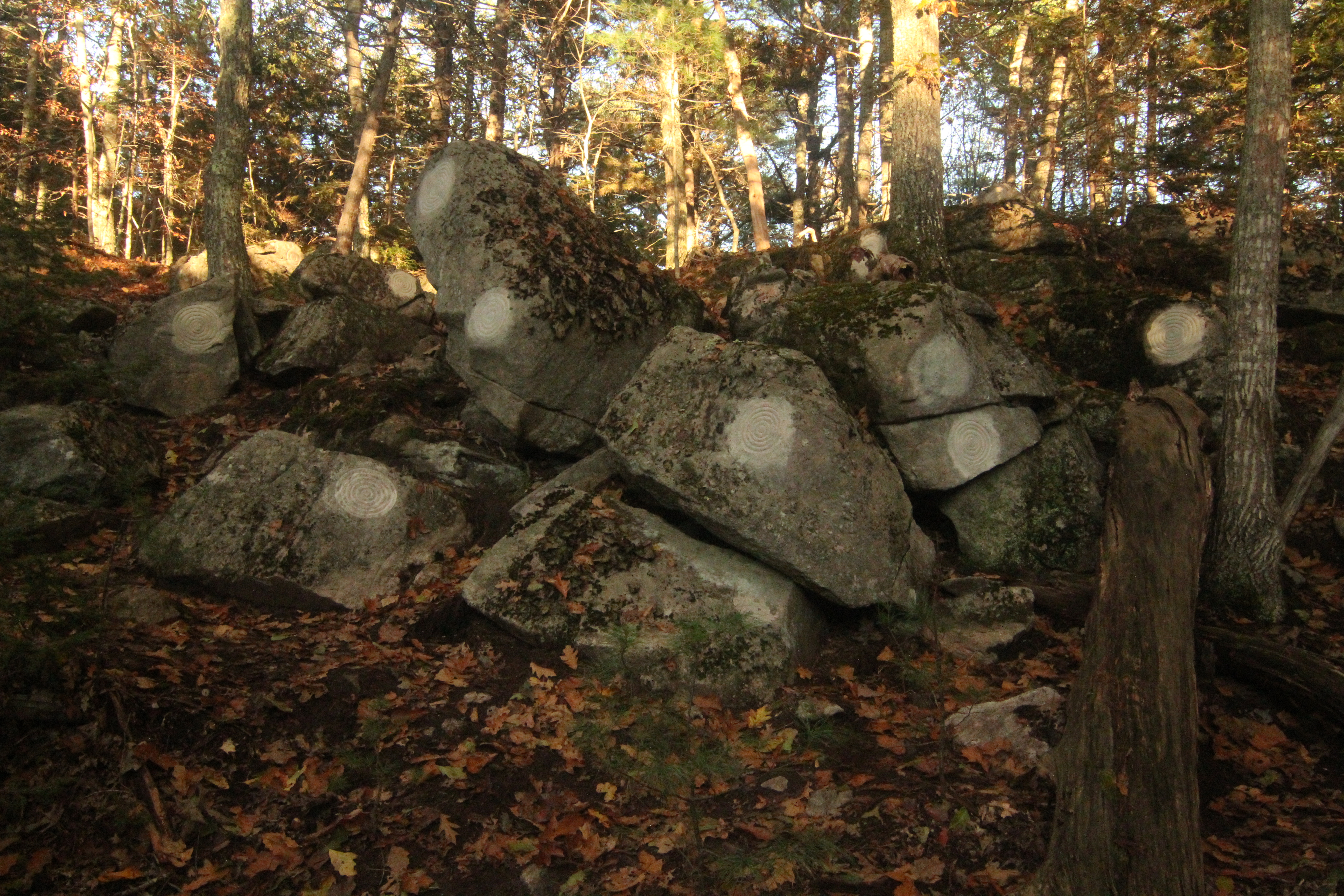   Petroglyph