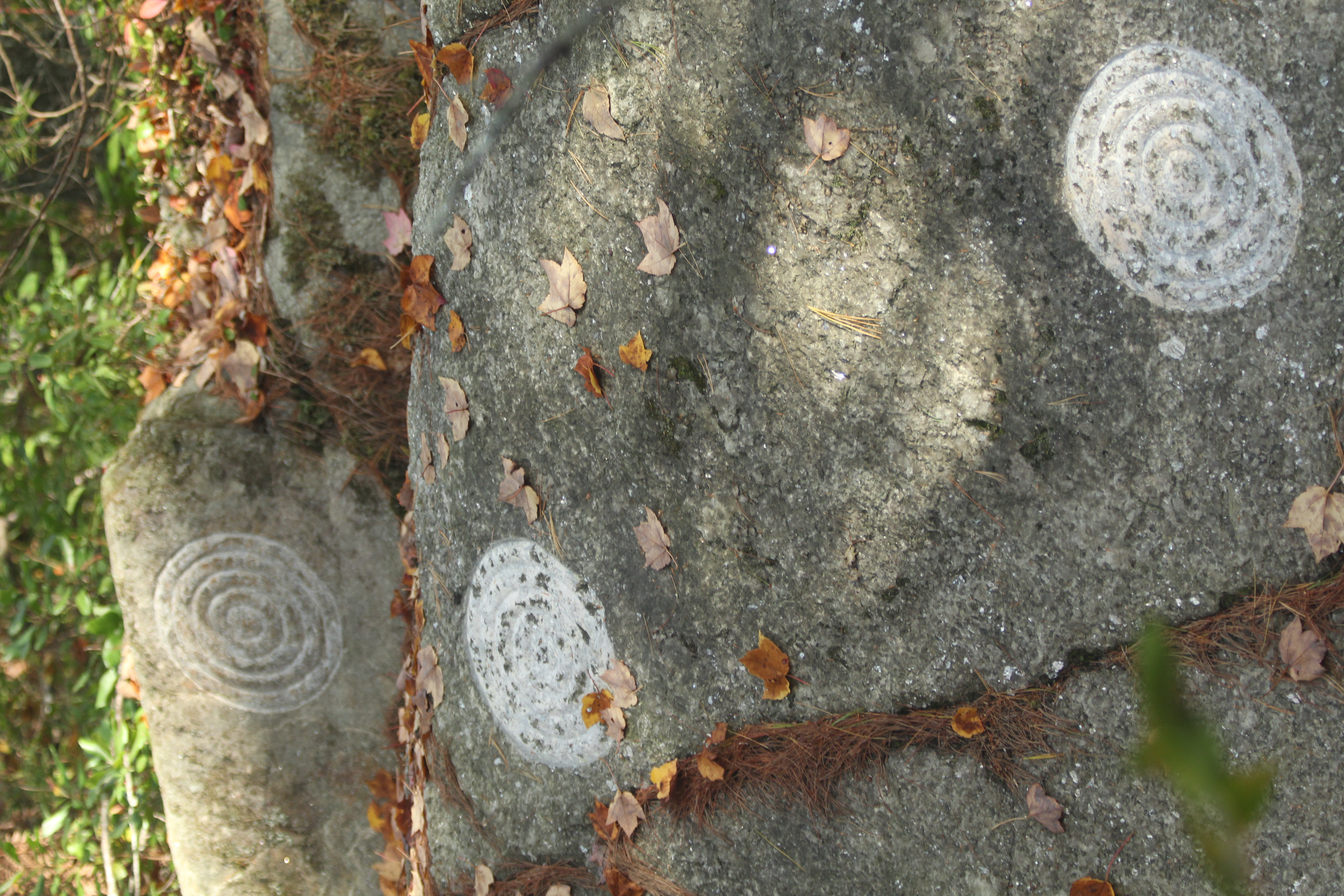   Petroglyph