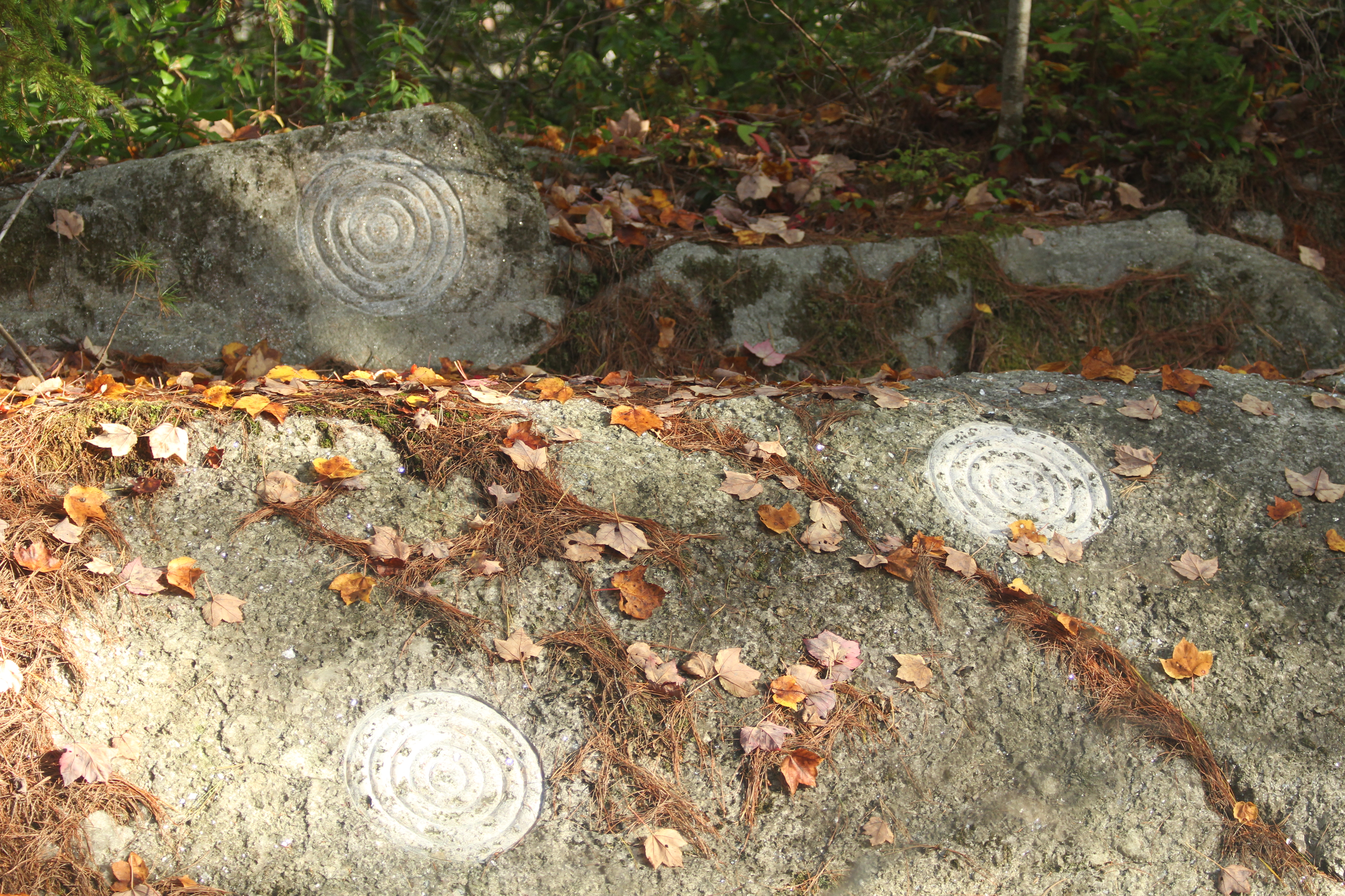   Petroglyph