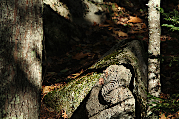 Contemporary Petroglyph