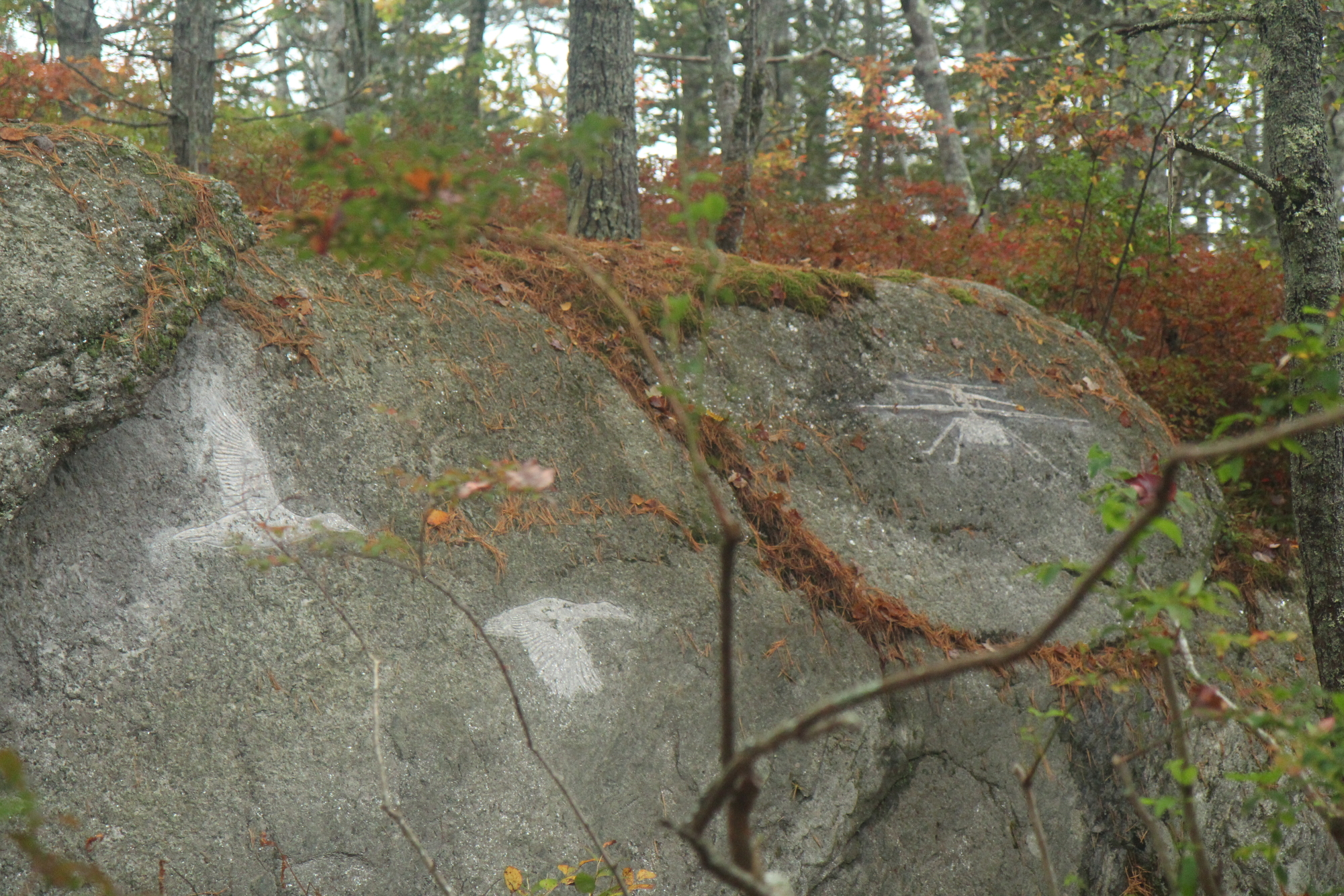   Petroglyph