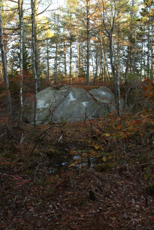 Contemporary Petroglyph