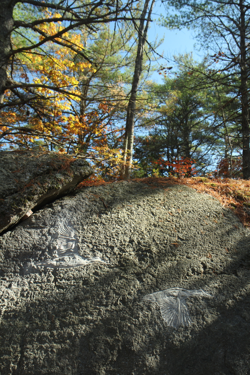 Contemporary Petroglyph