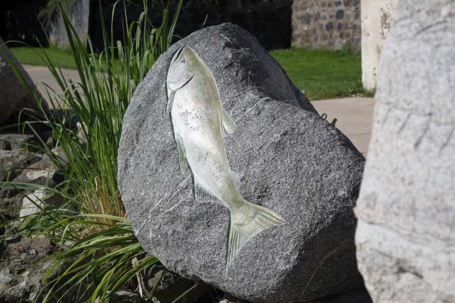 King Salmon Petroglyph