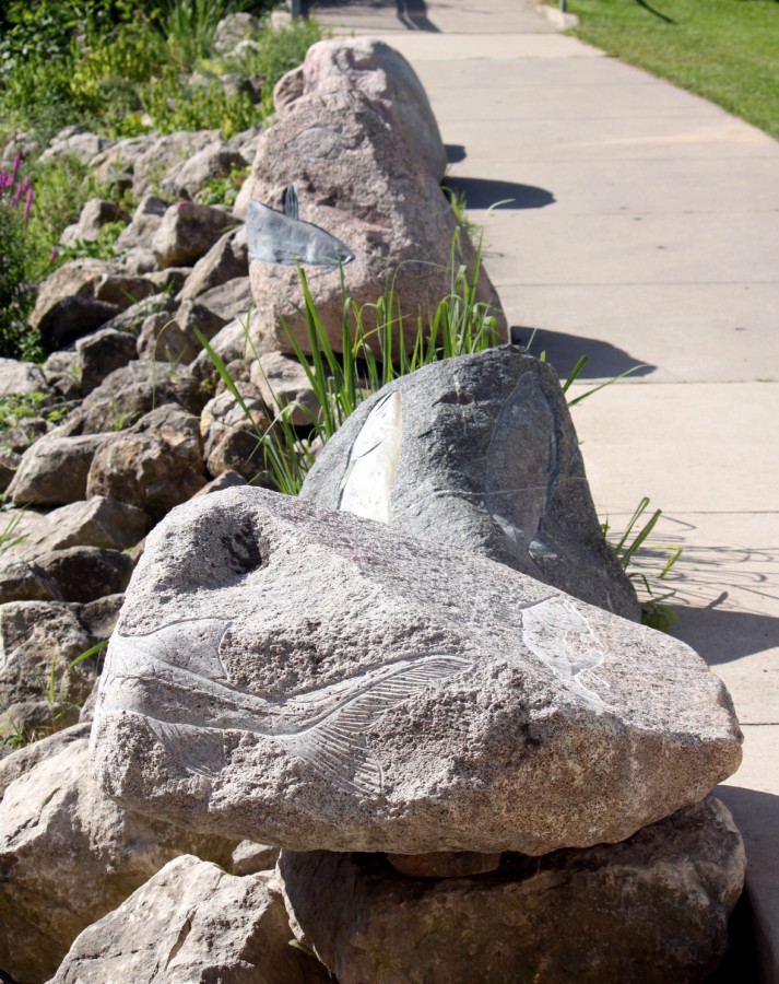 Fish Petroglyph